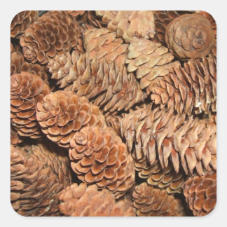 Adesivo Quadrado Pine de Natal Cones