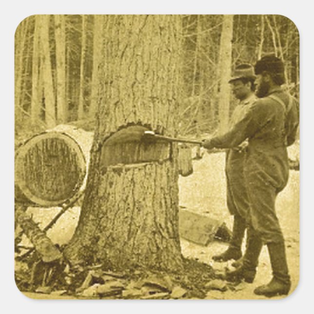 Adesivo Quadrado Pinerias dos Irmãos Goodridge de Michigan Saginaw  (Frente)