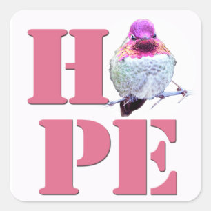 Adesivo Quadrado Pink Anna de Hummingbird Praça de Foto Praça de HO