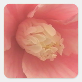Adesivo Quadrado Pink Camellia