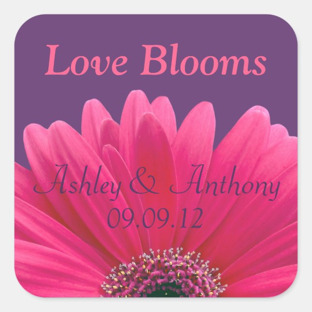 Adesivo Quadrado Pink Gerbera Daisy Purple Wedker Sticker (Frente)