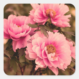 Adesivo Quadrado Pink Peony Flower