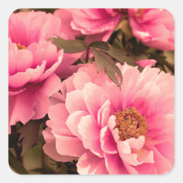 Adesivo Quadrado Pink Peony Flower