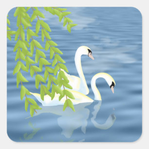 Adesivo Quadrado Pintando o par de Cisnes Azuis e Verdes no lago