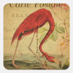 Adesivo Quadrado Pintura com cartão-postal Flamingo Vintage