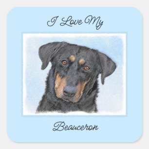 Adesivo Quadrado Pintura de Beauceron - Arte de Cachorro Original B