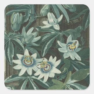Adesivo Quadrado Pintura de Flor Moderna