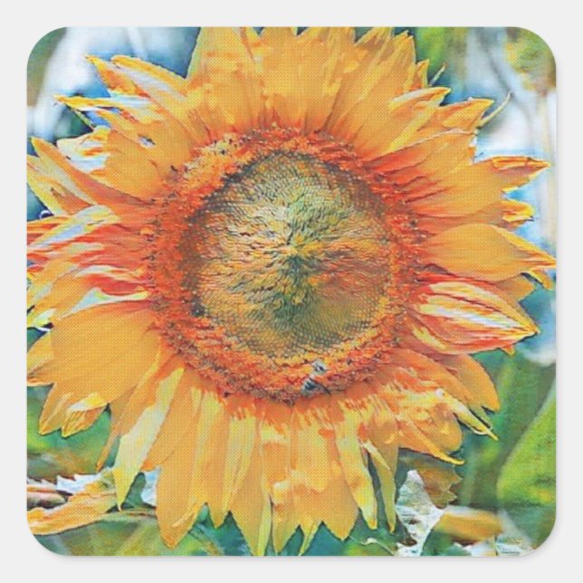 Adesivo Quadrado Pintura de girassol amarelo e laranja (Frente)