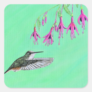 Adesivo Quadrado Pintura de Hummingbird e Fuchsia