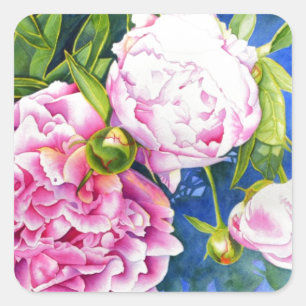 Adesivo Quadrado Pintura de pénia branca rosa  floral romântico