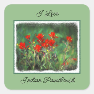 Adesivo Quadrado Pintura de pincel índio - Arte Flor Original