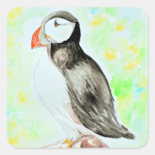 Adesivo Quadrado Pintura de Puffin e de Aquarela