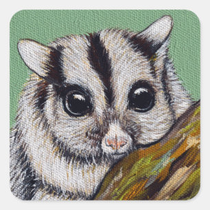 Adesivo Quadrado Pintura de Sugar Glider