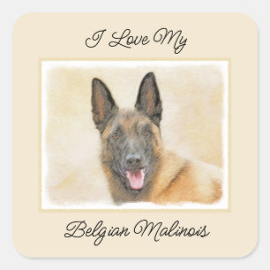 Adesivo Quadrado Pintura em Malinois Belga - Arte Cachorra Original
