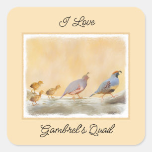 Adesivo Quadrado Pintura em Quail de Gambrel — Arte original sobre 