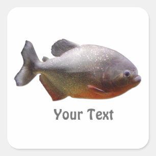 Adesivo Quadrado Piranha sul - peixes americanos