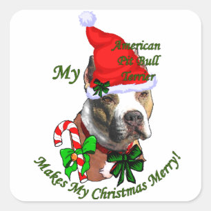 Adesivo Quadrado Pit Bull Terrier Natal Americano