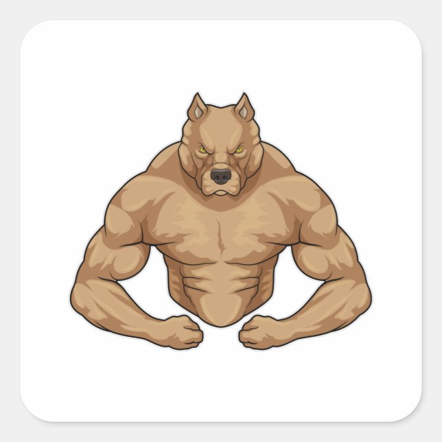 Adesivo Quadrado Pitbull como Bodybuilder extreme (Frente)