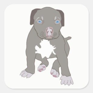 Adesivo Quadrado Pitbull Puppy