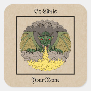 Adesivo Quadrado Placa de segurança Cavern Dragon 2016