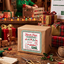 Plaid entrega expressa do Papai Noel no Polo Norte