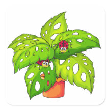 Planta com Lady Bugs