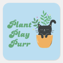 Planta de Gato Superagudo Retro