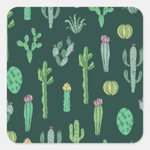 Adesivo Quadrado Plantas De Cactus: Vintage Sem Olho De Fundo