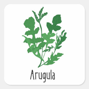 Adesivo Quadrado Plantas Especiais Arugula