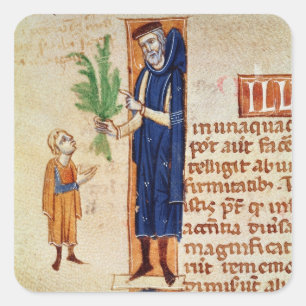 Adesivo Quadrado Plantas medicinais