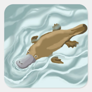 Adesivo Quadrado Platypus