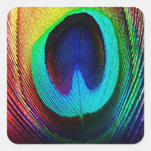 Adesivo Quadrado Pluma de Pavão Vibrante
