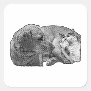 Adesivo Quadrado Pocket Ceasefire