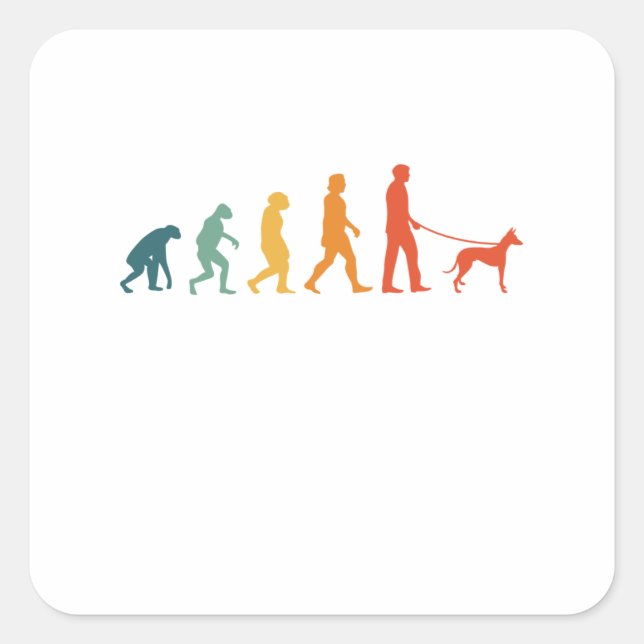 Adesivo Quadrado Podenco Evolution Retro Ibizan Hound Vintage (Frente)
