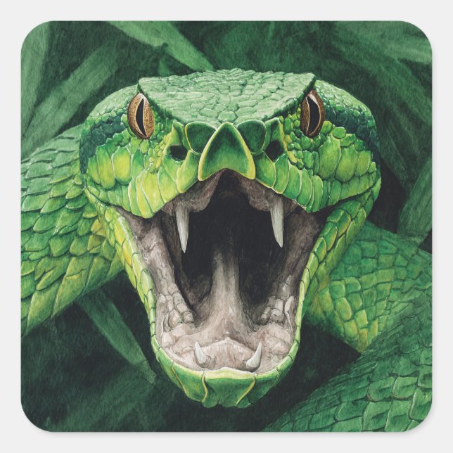 Adesivo Quadrado Poder Primal 008 – Cobra (Frente)