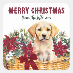 Adesivo Quadrado Poinsettia Yellow Labrador Retriever Basket