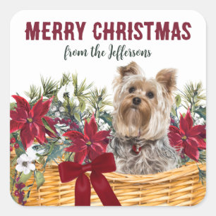 Adesivo Quadrado Poinsettia Yorkshire Terrier Christmas Basket
