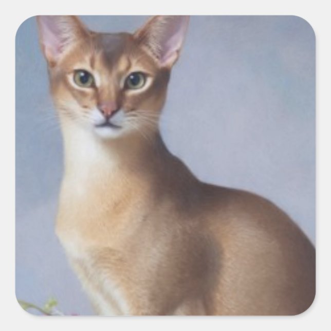 Adesivo Quadrado Poised Abyssinian – Elegant Cat Sticker (Frente)