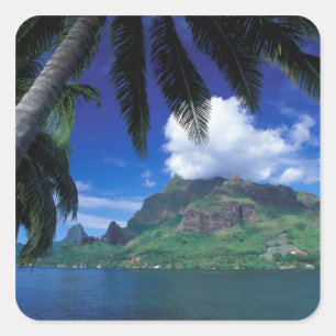 Adesivo Quadrado Polinésia Francesa, Moorea. Baía de Cooks. Verde