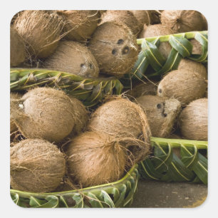 Adesivo Quadrado Polinésia, Reino de Tonga. Exibição de cocos