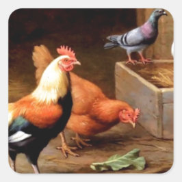 Adesivo Quadrado Pombos-galinha