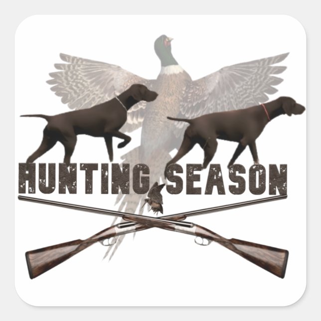 Adesivo Quadrado Ponteiro alemão de curta distância,kurzhaar (Frente)