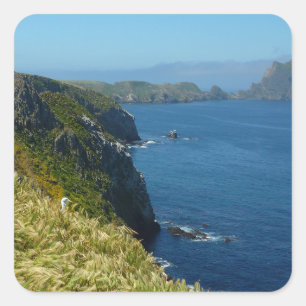 Adesivo Quadrado Ponto II da inspiração de Anacapa em ilhas chann