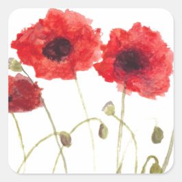 Adesivo Quadrado Poppies flores vermelhas aquarela flores silvestre