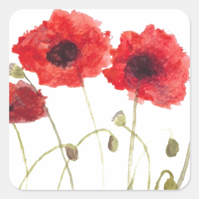 Adesivo Quadrado Poppies flores vermelhas aquarela flores silvestre (Frente)