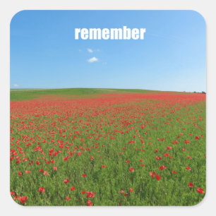 Adesivo Quadrado Poppies lembram