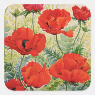 Adesivo Quadrado Poppies Vermelhos Grandes
