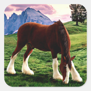 Adesivo Quadrado Por do sol de Clydesdale