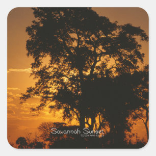 Adesivo Quadrado Por do sol do savana