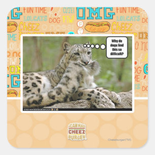 Adesivo Quadrado Por que os cães encontram este tão difícil?